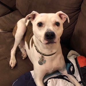 Meet your Posher, Jayden